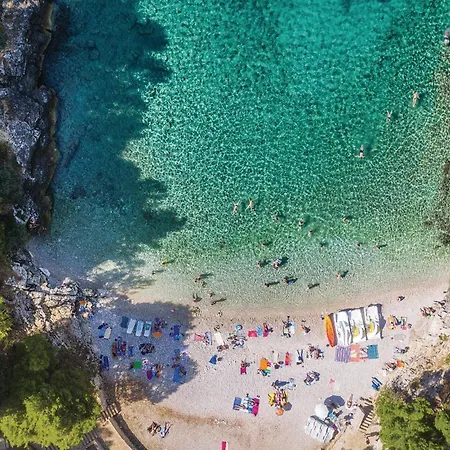 Lovely In With Wifi Appartamento *